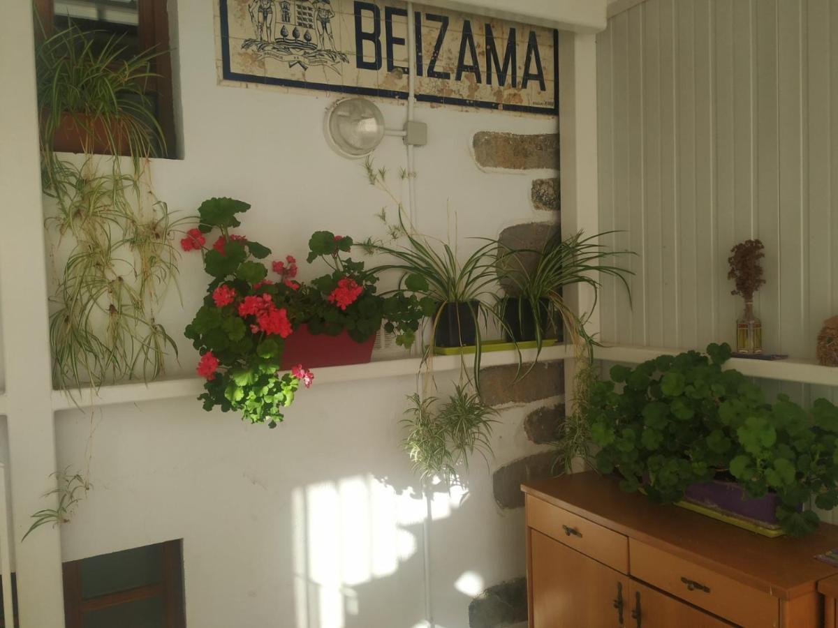 Albergue Ambiental De Beizama - Beizamako Aterpetxea Εξωτερικό φωτογραφία